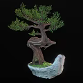 Wooden Bonsai Tree with Curved Trunk Green Leaves Stone Base and Grass Accent Decor
