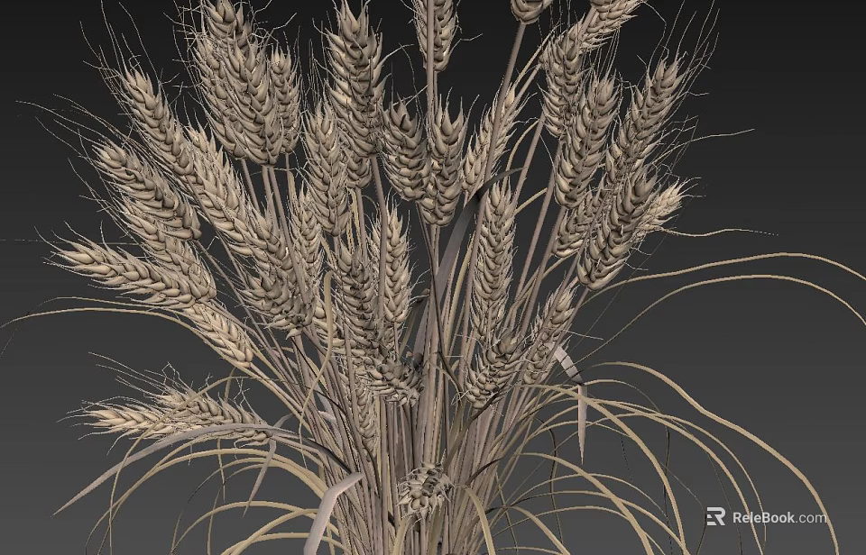 Golden Wheat Ears Natural Arrangement With Long Stems And Grain Details 3d model 