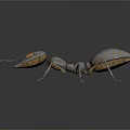 Futuristic Mechanical Ant With Metallic Body And Blue Accents On Dark Reflective Surface