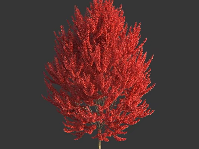 Lush Vibrant Tree With Bright Red Leaves Standing Isolated On Gray Background 3d model