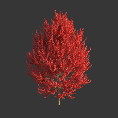 Lush Vibrant Tree With Bright Red Leaves Standing Isolated On Gray Background 3d model