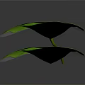 Two Vibrant Green Lotus Leaves Displayed Against Dark Background With Natural Texture