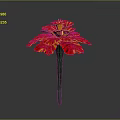 Vibrant Red And Yellow Petaled Flower With Green Stem On Dark Background