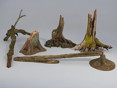 modern tree root 3d model