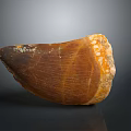 Ancient Prehistoric Animal Tooth Fossil With Brown Enamel And Textured Surface Details