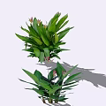 Lush Green Leaf Shrubs With Pink And Yellow Flowers For Garden Decoration