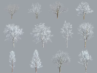 Various Snow Covered Trees With Different Branch Shapes On Gray Background 3d model
