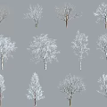 Various Snow Covered Trees With Different Branch Shapes On Gray Background