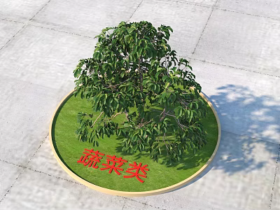 Vegetable Type Shrub Growing In Circular Green Area On Stone Pavement 3d model