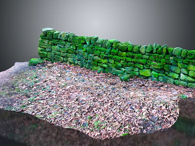 Natural Stone Wall With Green Moss And Wooden Ground Covered In Fallen Leaves 3d model