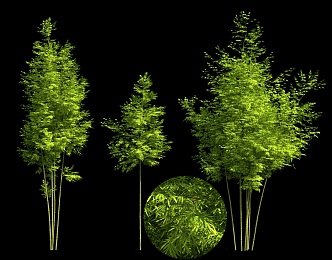 New Chinese-style Cluster Bamboo Forest Bamboo Leaf Garden Sits Landscape Green Plants 3d model