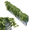Lush Green Vines Covering Wall with Hanging Leaves and Natural Growth