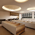 Modern Public Office Space With Circular Ceiling Lights Large Windows Wooden Workstations And Bookshelves