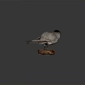 Grey White Stuffed Bird With Yellow Beak Black Head On Wooden Base Dark Background
