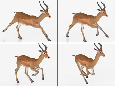 Antelope In Various Running Poses Showing Dynamic Movement On White Background 3d model