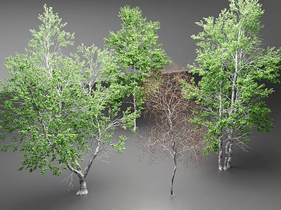 Various Arbor Trees Displaying Green Foliage And Different Growth Forms 3d model