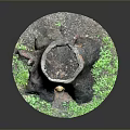 Wooden Stone Tree Stump Decorative Piece With Hollow Opening And Surrounding Green Grass