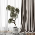 Gray Curtains And White Sheer In Room With Wooden Floor Rug Plush Toy Potted Tree