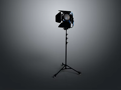 Professional Studio Lighting Kit with Rolling Stand Barn Doors and Adjustable Spotlight 3d model