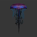 Vibrant Pink And Blue Jellyfish With Long Tentacles On Dark Background