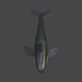 Realistic Black And White Orca Swimming In Blue Background