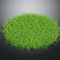 Lush Green Grass Round Patch With Vibrant Texture Against Dark Background 3d model