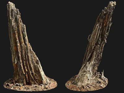 Two Natural Weathered Wood and Stone Base Decorative Pieces with Textured Surface 3d model