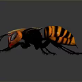 Wasp With Orange And Black Striped Body Red Head And Yellow Wings On Gray Background