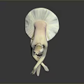 Elegant Child Ballerina Porcelain Figurine Sitting With Crossed Legs And White Tutu