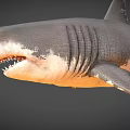 Realistic 3D Shark Model With Sharp Teeth And Detailed Gray Body 3d model