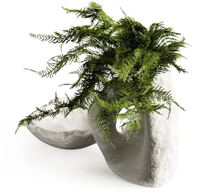 Bonsai Plant With Fern Lush Green Foliage In White Irregular Shaped Pot Modern Minimalist Style 3d model
