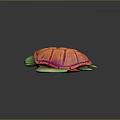 Modern Turtle Cartoon Turtle 3d model