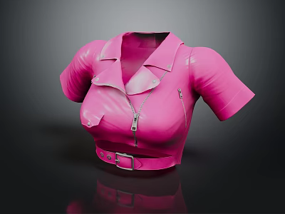 Pink Leather Short Sleeve Cropped Top With Collar Zipper And Belt 3d model