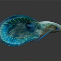 Vibrant Blue Green Aquatic Animal With Fan Shaped Tail Bioluminescent Fins And Large Eyes
