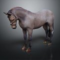 Modern Horse Big Horse Wild Horse Racing 3d model