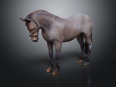 Modern Horse Big Horse Wild Horse Racing 3d model