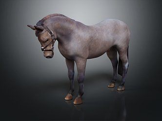 Modern Horse Big Horse Wild Horse Racing 3d model