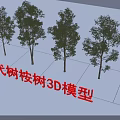 Modern Eucalyptus Trees 3D Model Design With Realistic Foliage And Detailed Features 3d model