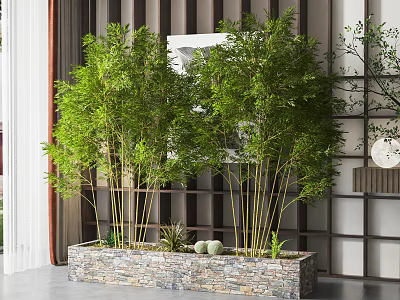 Modern Potted Fine Bamboo Green Plant Potted Plant 3d model