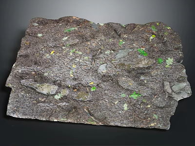 Rocky Terrain With Rough Surface Green Gray Spots And Natural Geological Textures 3d model