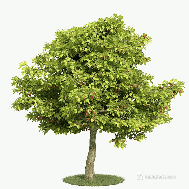 Lush Arbor With Green Leaves And Red Fruits On Healthy Branches 3d model 