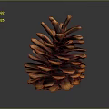 Brown and Orange Pine Cone with Detailed Scales on Dark Background 3d model