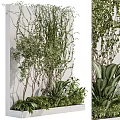 Lush Greenery Arrangement With Various Plants Vines And Leafy Branches Against Wall
