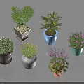 Colorful Decorative Bonsai Potted Plants With Various Colored Pots Green Leaves And Small Flowers