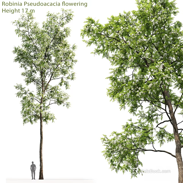 Decorative Tree Ornament Set With Lush Green Leaves And Natural Trunk Design 3d model 