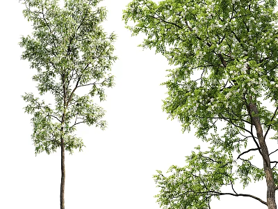 Decorative Tree Ornament Set With Lush Green Leaves And Natural Trunk Design 3d model