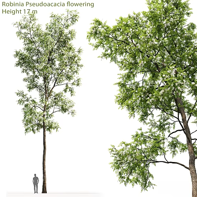 Decorative Tree Ornament Set With Lush Green Leaves And Natural Trunk Design 3d model