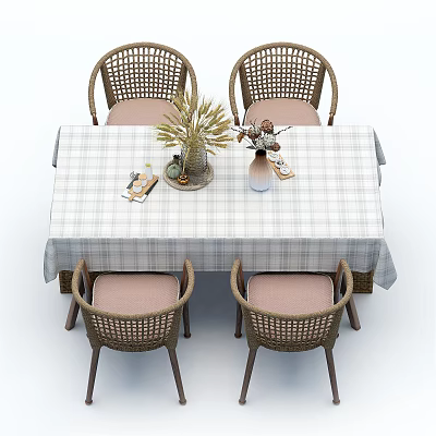 Stylish Dining Table Set With Checkered Tablecloth Rattan Chairs And Decorative Plants 3d model