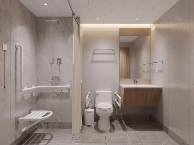 Public Restroom Handicap Accessible Design With Grab Bars Shower Toilet Sink Mirror And Tile Walls 3d model
