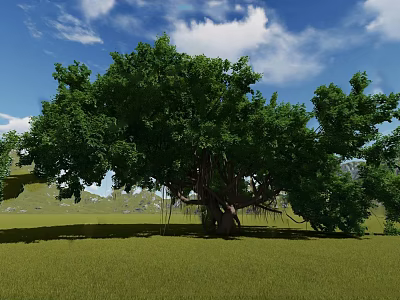 Lush Green Arbor Tree Growing in Vast Grassland Under Blue Sky with White Clouds 3d model